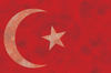 Turkey Flag (c)PMLive
