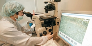 Seoul ranks first in the world in number of clinical trials per city (c) Business Korea