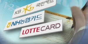 Will Koreas card issuers succeed in global markets (c) Business Korea