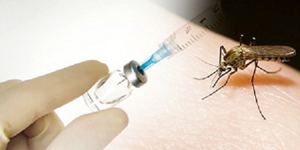 Worlds first dengue vaccine approved in Mexico (c) See And Say