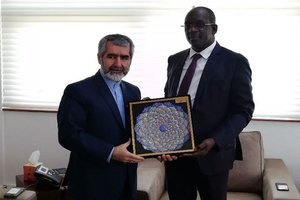 Iran Senegal to develop healthcare cooperation (c) MEHR News Agency