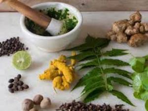 Punarnava Ayurveda to cash in on rise in Russian medical tourists to Kerala (c) ET Healthworld