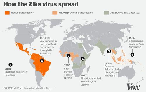 The spread of Zika Visualisations (c) Vox