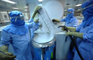 Regulation reins in stem cell therapy for safety and efficacy (c) Liu Haifeng Xinhua Press Corbis